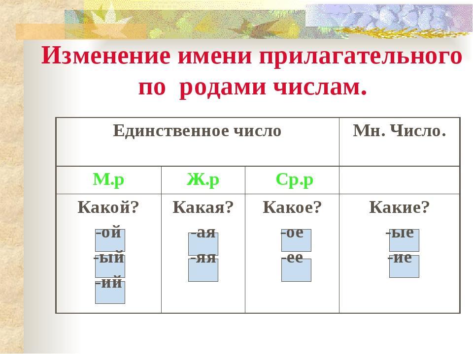 Единственное и множественное число имен прилагательных 2 класс школа россии презентация