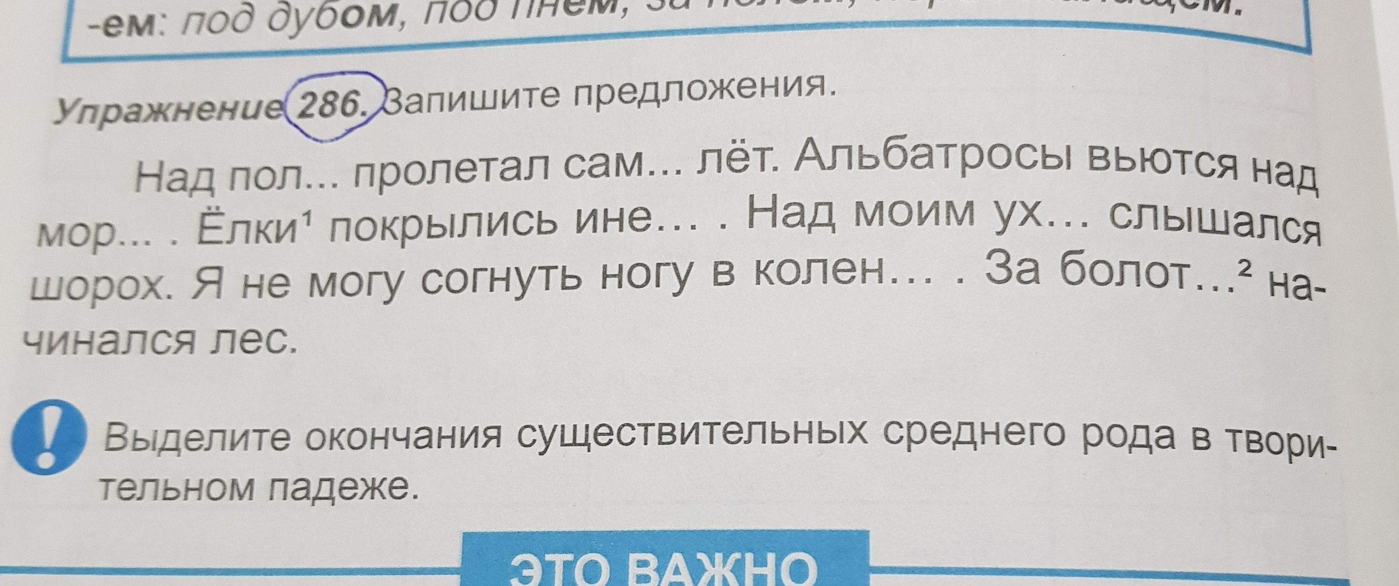 Упражнение пожалуйста. Упражнение 286. Запишите предложения.. Запишите предложения. Над пол... Пролетал сам...лёт. Упражнение 286 запишите приложение фото. Упражнение 286 запишите пропущенные на пол пролетал самолет.