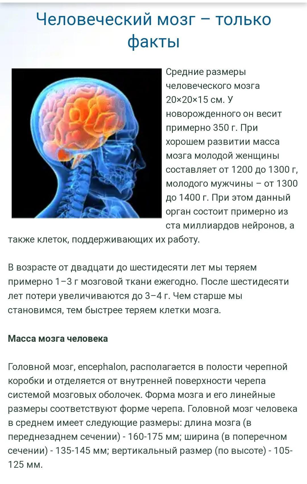 Объем головного мозга наибольшее. Об,ем мощга современного человека. Объем мозга современного человека. Масса мозга современного человека. Размер мозга.
