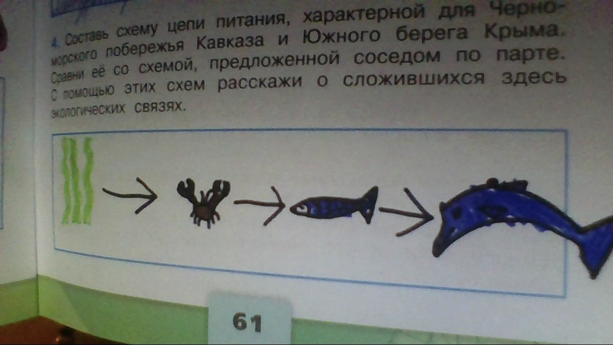 От каменного топора к космическому кораблю ответь на вопросы используя рисунок и слова для справок