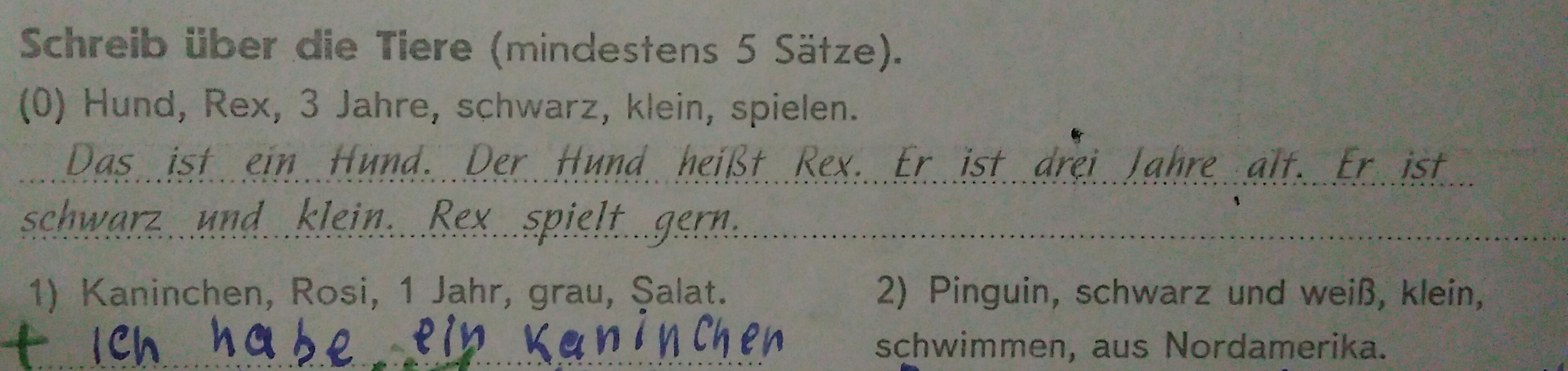 Alt er ist. Немецкий язык 5 класс Tiere 3. Немецкий язык schreib die Satze.