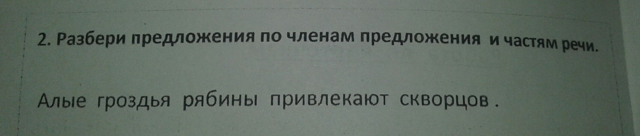 Живой предложение. Разбор предложения Алые гроздья рябины привлекают свиристелей. Синтаксический разбор Алые гроздья рябины привлекают свиристелей. Синтаксический разбор предложения гроздья рябины. Краснеют гроздья рябины разбор предложения.