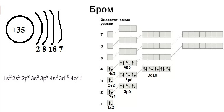 Дайте характеристику элемента с z 11 запишите схему