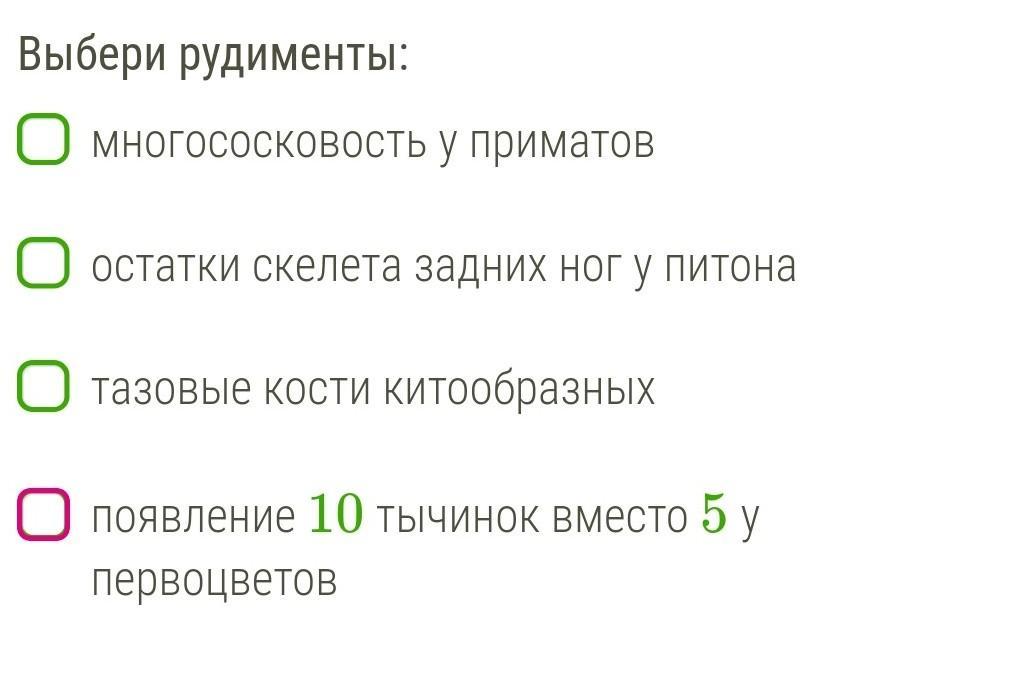 Появление 10. Рудименты появление 10 тычинок вместо 5. Появление 10 тычинок вместо 5 у первоцветов рудименты. Выбери атавизмы появление 10 тычинок вместо 5 у первоцветов.