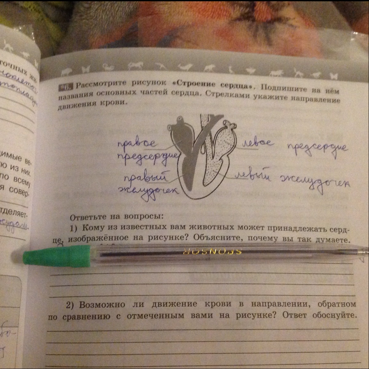 Туристы бежали по указанному стрелкой направлению. Рассмотрите рисунок строение сердца. . Рассмотрите рисунок. Подпишите названия частей сердца. Рассмотрите рисунок строения сердца подпишите на нём названия. Рассмотрите рисунок подпишите название строение сердца.