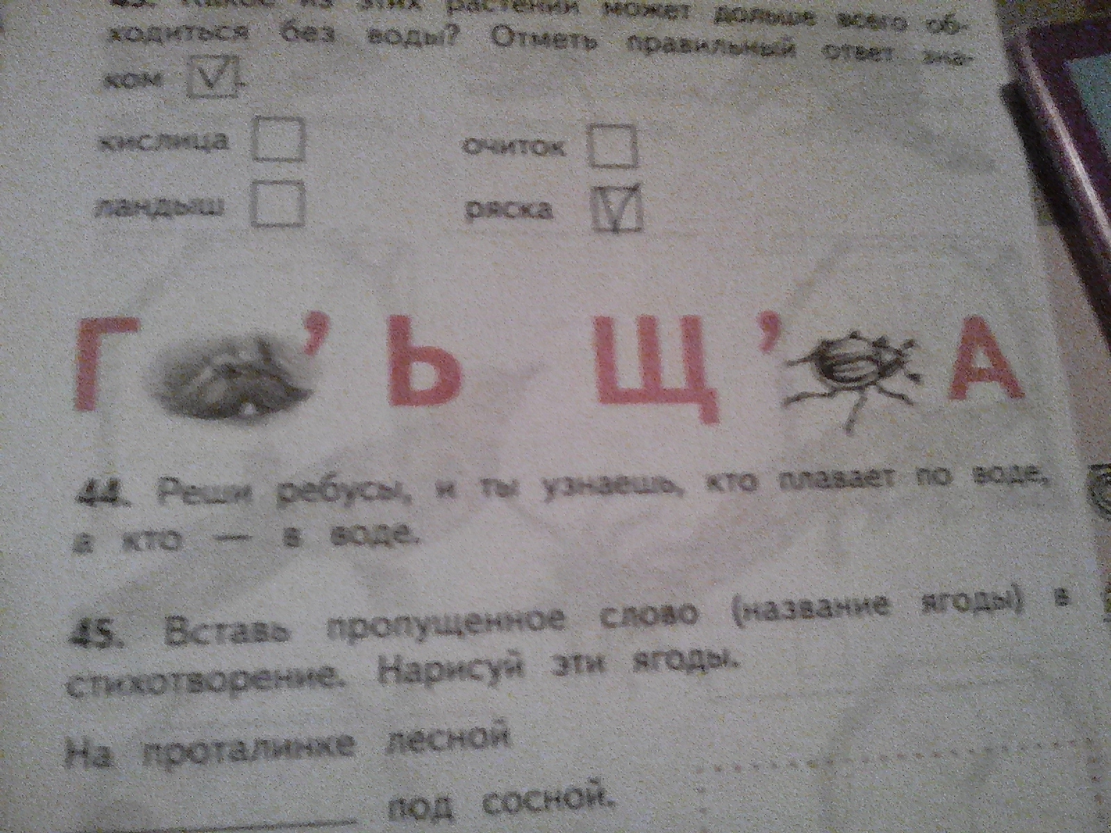 Отметь правильный ответ. Реши ребусы и ты узнаешь кто плавает по воде а кто в воде. Реши ребусы кто плавает по воде в воде ребусы и ты узнаешь. 44. Реши ребусы, и ты узнаешь, кто плавает по воде, а кто в воде.. Как решить ребусы окружающий мир 2 класс.