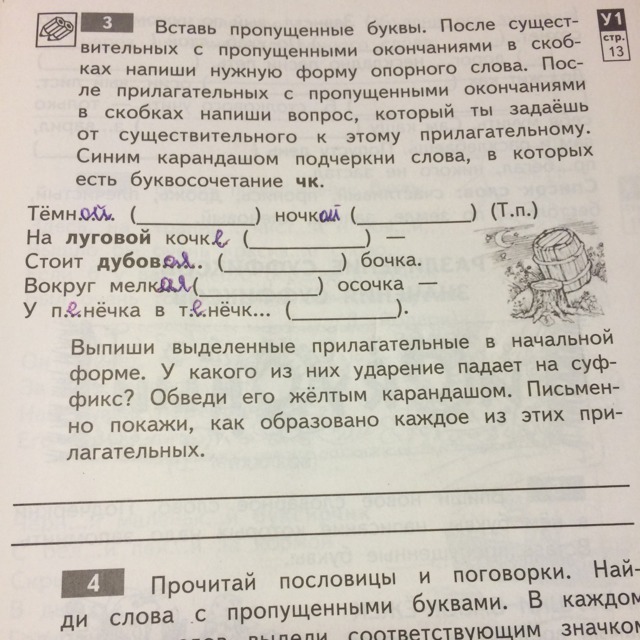 Вставьте пропущенное существительное. Вставьте пропущенные буквы. Нужная форма опорного слова. Форма опорного слова существительного. Темной ночкой на Луговой кочке.