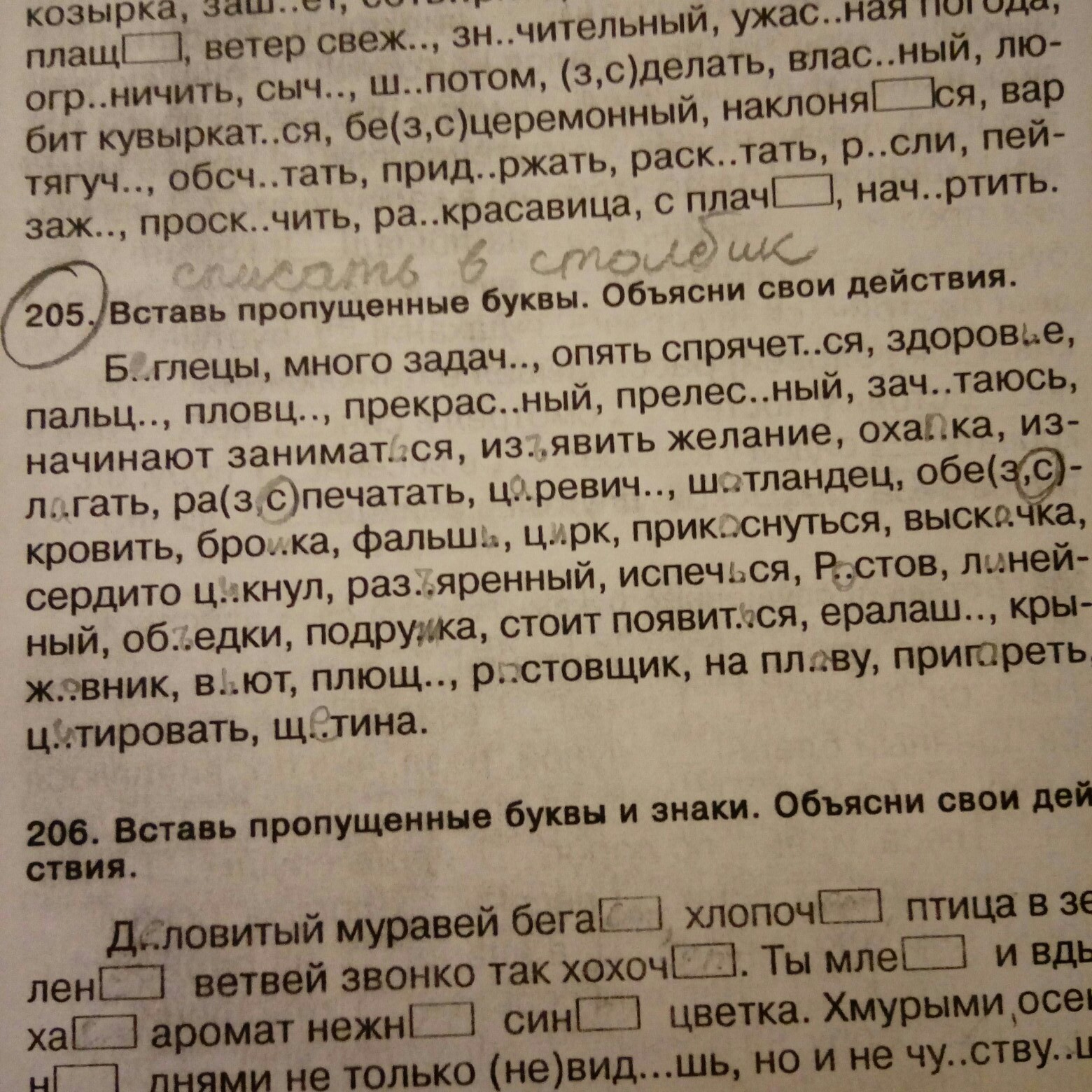 Русский язык 4 упражнение 205