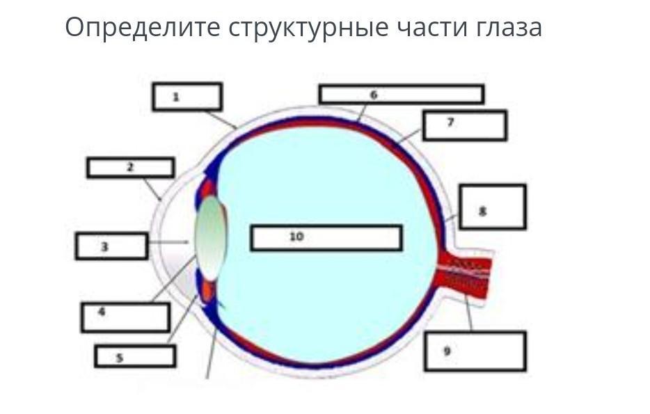 Определенно структурирована