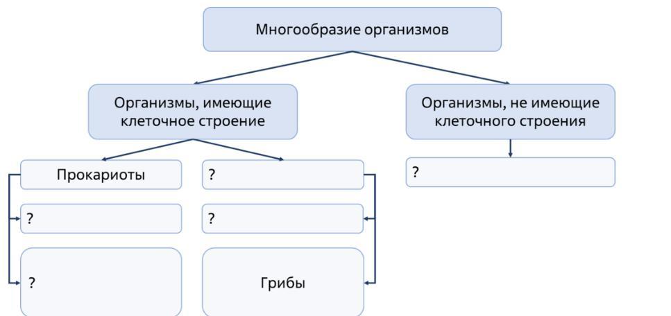 Составьте схему разнообразие организмов на земле