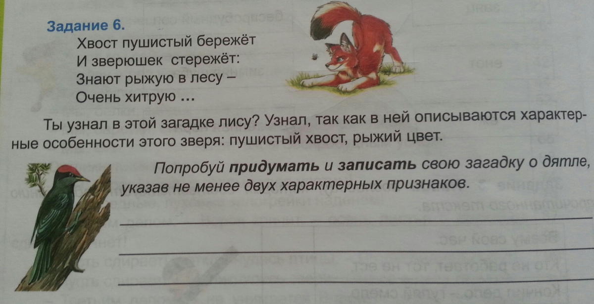 Запиши не менее двух. Придумать загадку о дятле указав не менее двух характерных признаков. Придумать загадку про дятла. Придумать загадку о дятле не менее двух характерных признаков. Придумай загадку про дятла.