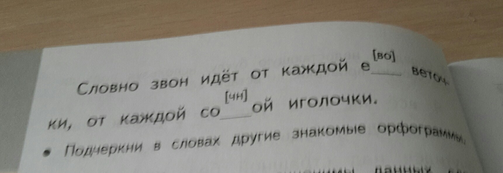 Вставь буквы на месте. Запиши слова сделай произносительные пометы. Фото произносительные пометы над выделенными буквами.