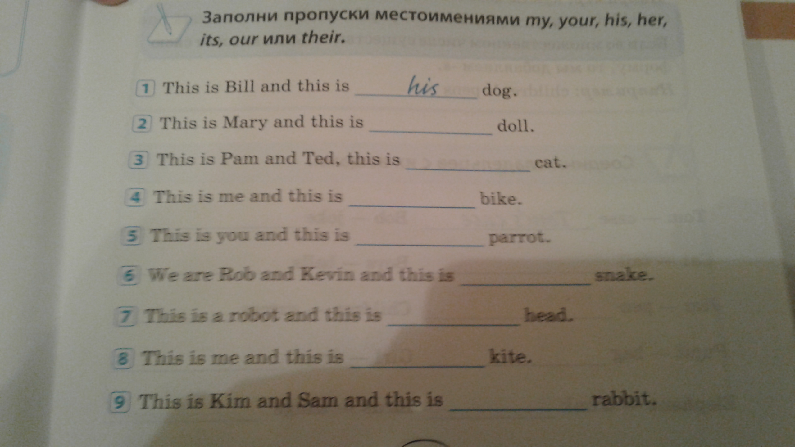 Заполните пропуски подходящие по смыслу. Заполни пропуски местоимениями my his her its. Заполни пропуски местоимениями my your his her. Заполните пропуски местоимениями. Заполни пропуски местоимениями my your his her its our their.