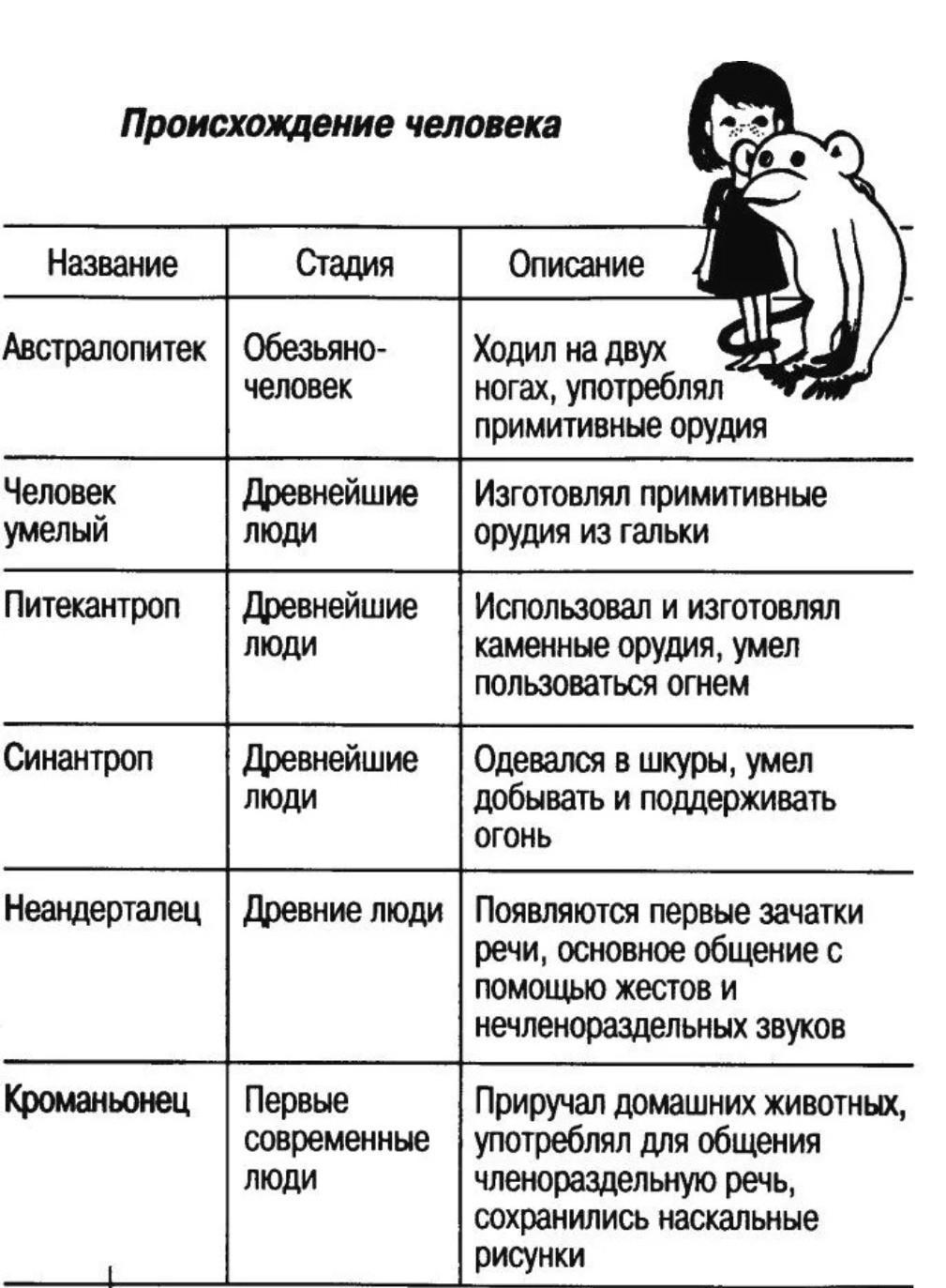 Схема происхождения человека