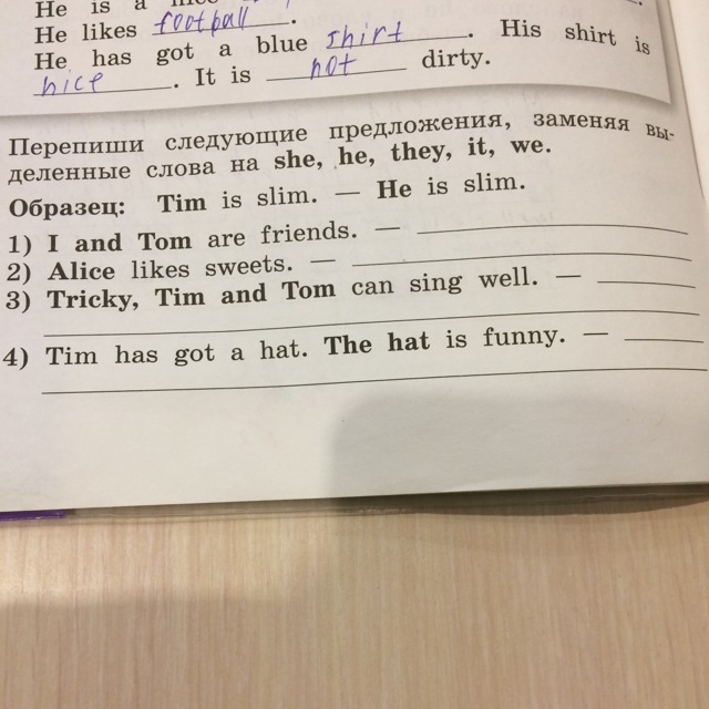 Tim has got a cat перевод. Перепиши предложения. Замени выделенные слова. Замени слова they he she it. Замени выделенные слова местоимениями he she.