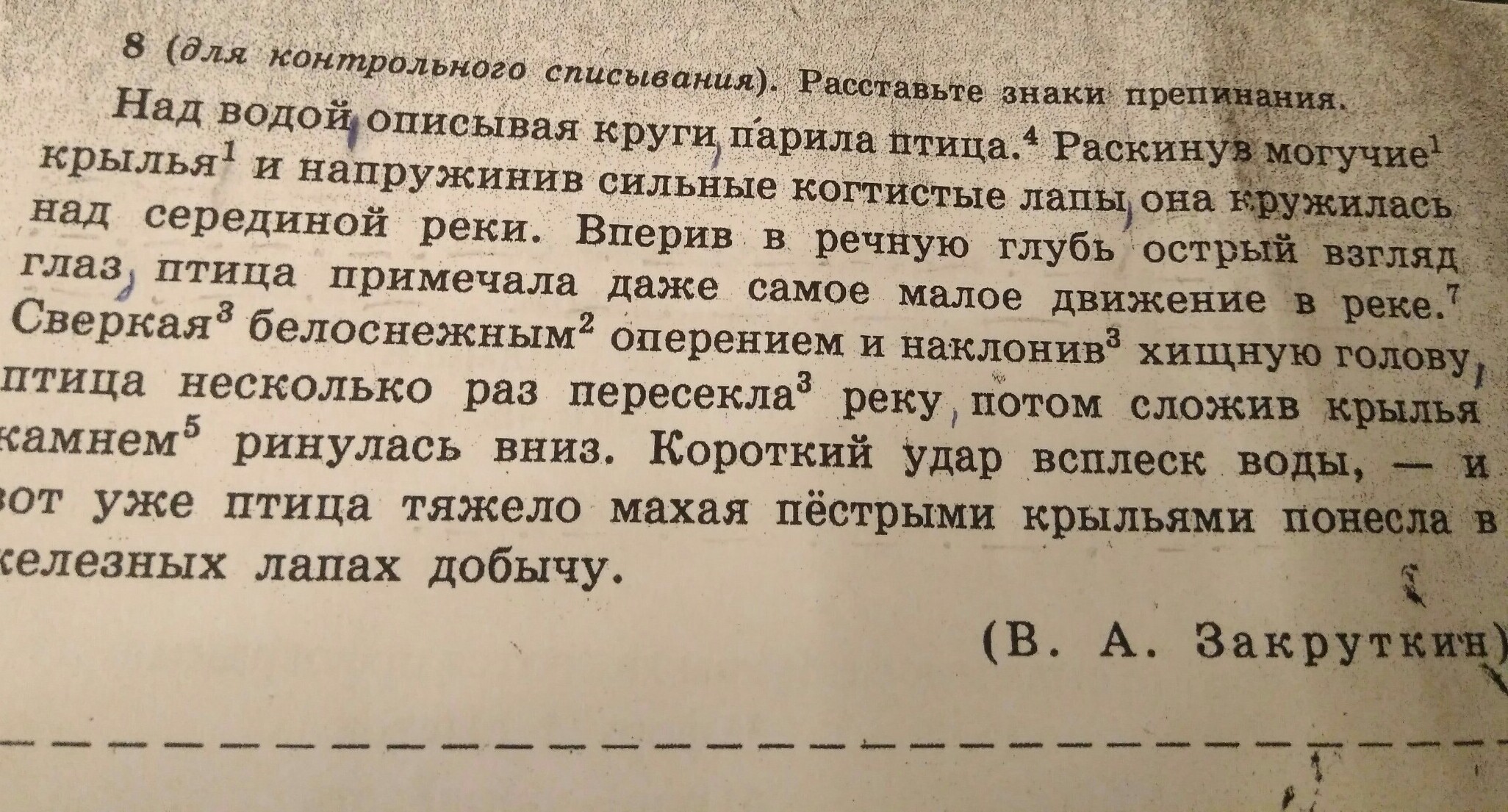 Расставьте знаки препинания выделите обороты. Над водой описывая круги парила птица. Над водой описывая круги парила птица деепричастие. Письмо о научной экспедиции в глубь земли. Научная Экспедиция в глубь земли письмо другу 5 класс.