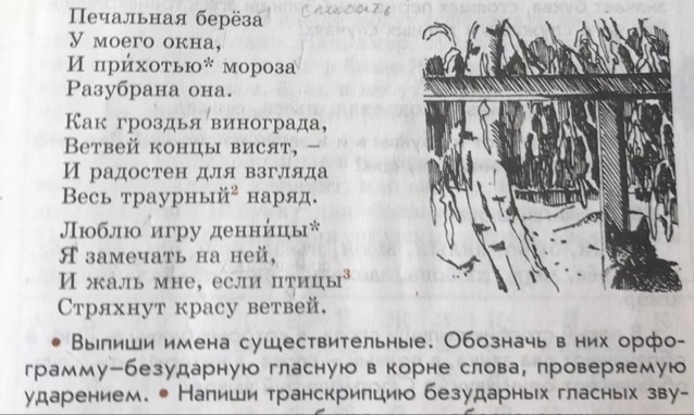 Печальная береза у моего окна. Печальная берёза у моего окна и прихотью Мороза Разубрана она. Стих печальная береза. Разубрана она печальная берёза.