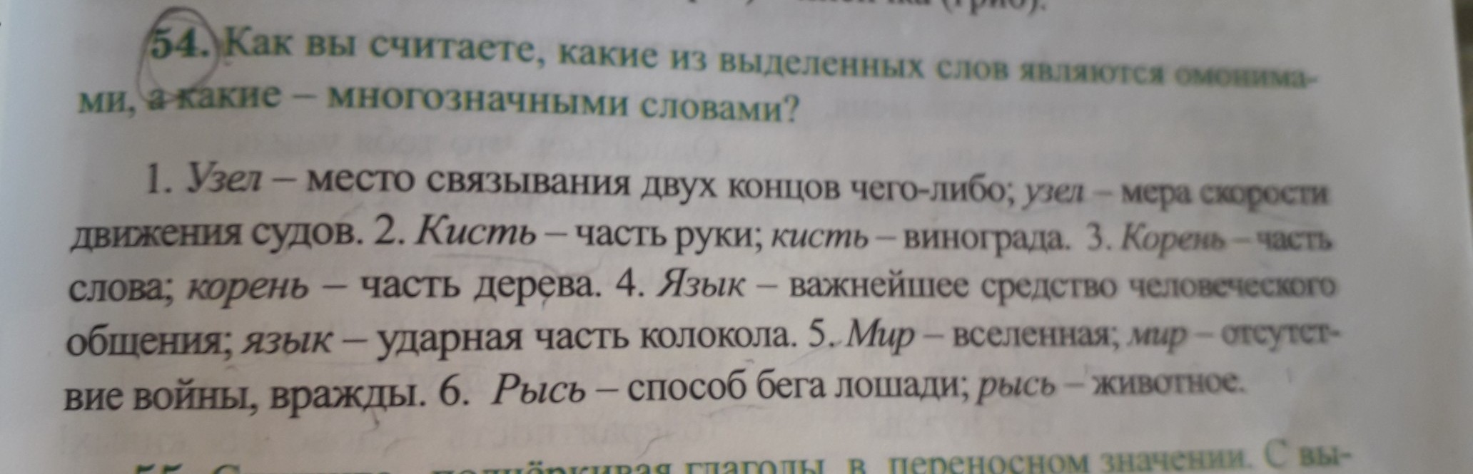 Догадайся какие слова являются омонимами отметь две нужные картинки