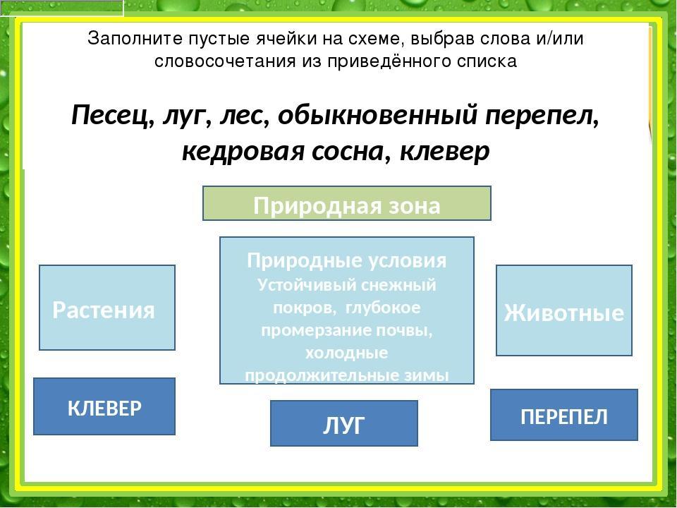 Выбери слово или словосочетание