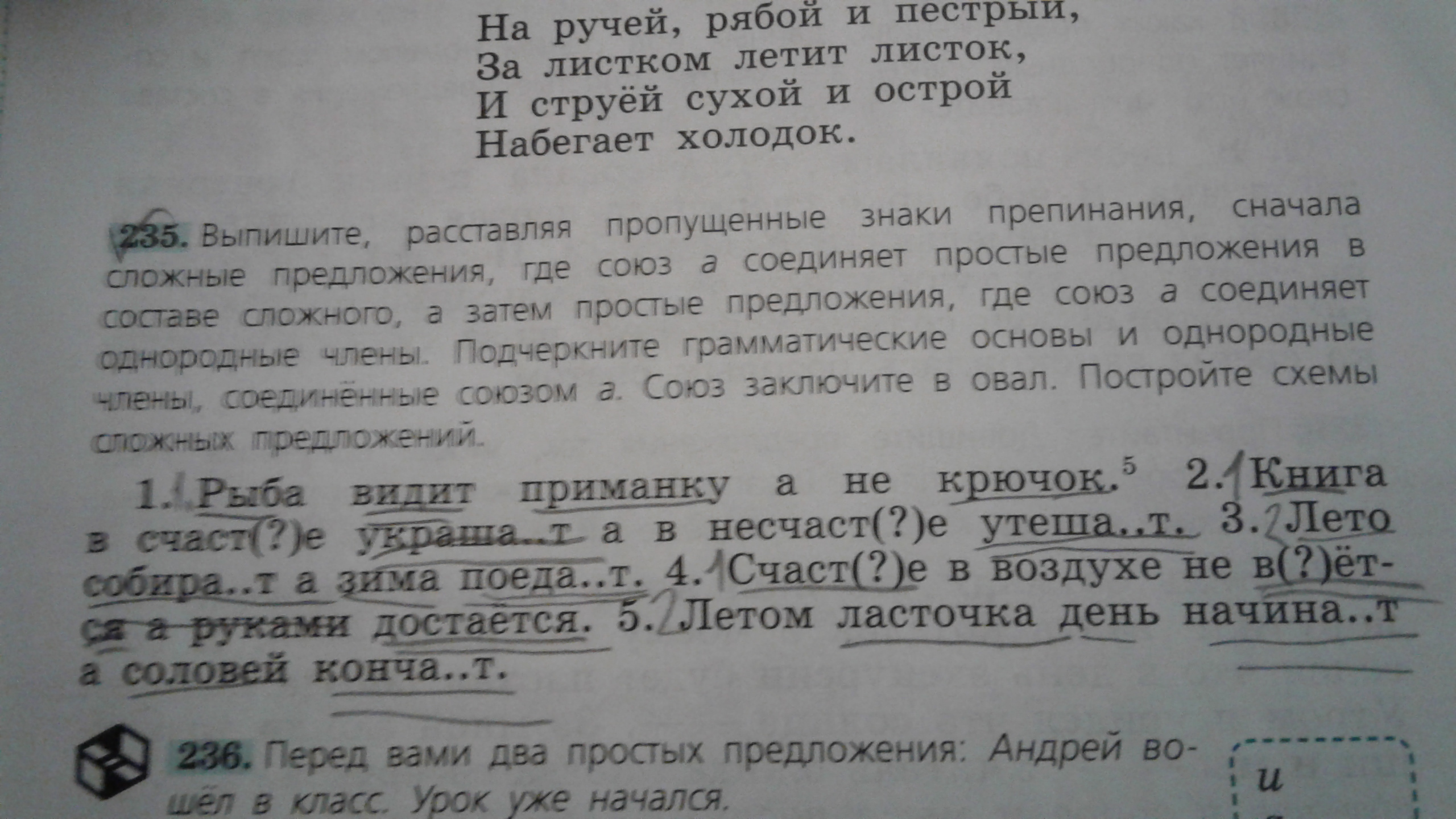 Русский язык 5 класс страница 119. Выпишите расставляя пропущенные знаки препинания. Русский расставьте пропущенные знаки препинания. Выпишите расставляя пропущенные знаки препинания сначала сложные. Выпишите расставляя пропущенные знаки препинания сначала простые.