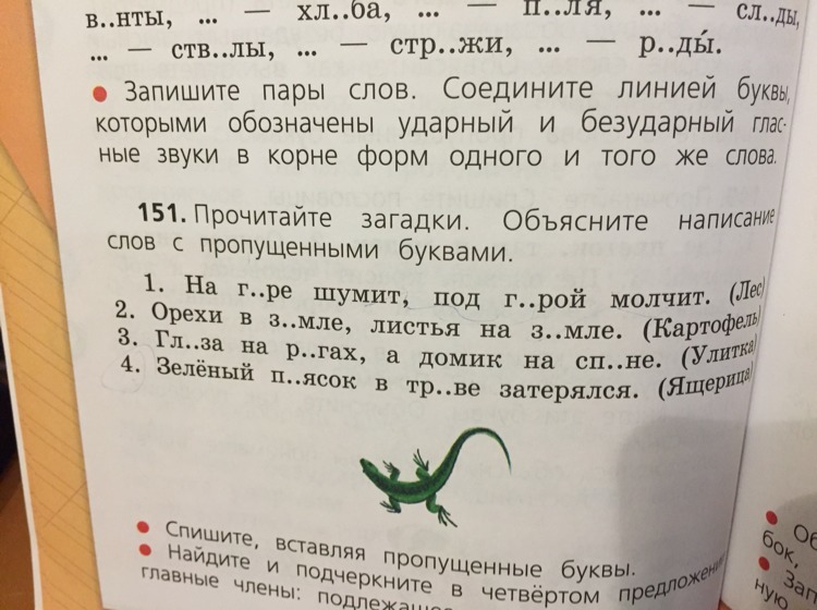 Корни зеленый текст. Пропущенные буквы для первого 1 класса. Пропущенные буква первый класс по русскому. Объясните написание слов с пропущенными буквами. Вставь пропущенное слово 1 класс.