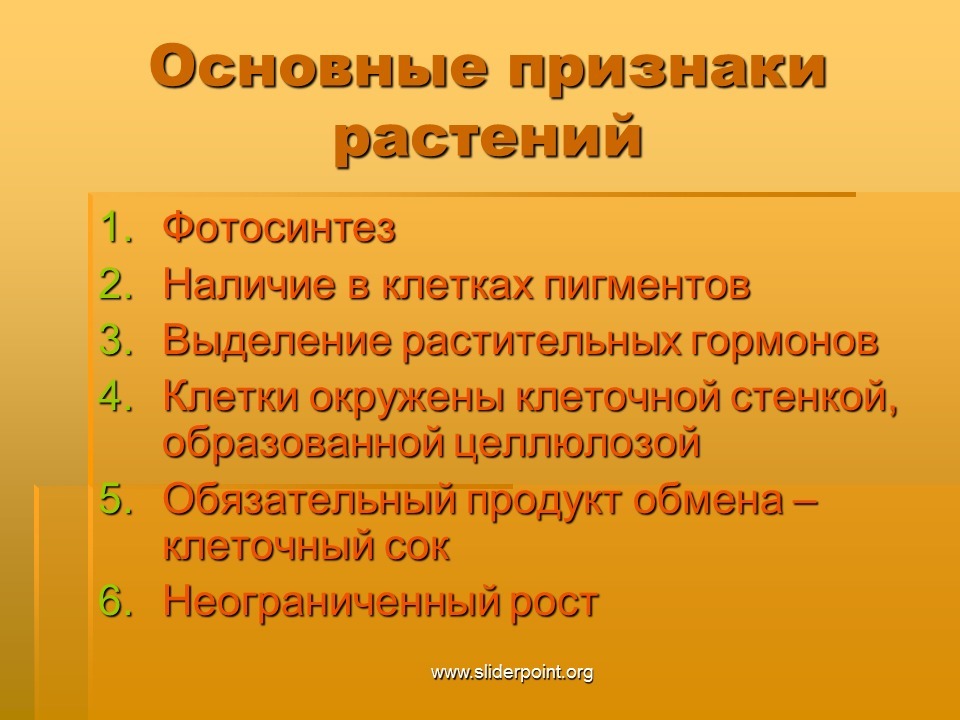 Признаки растений какого класса изображены на рисунке перечислите эти признаки какие семейства