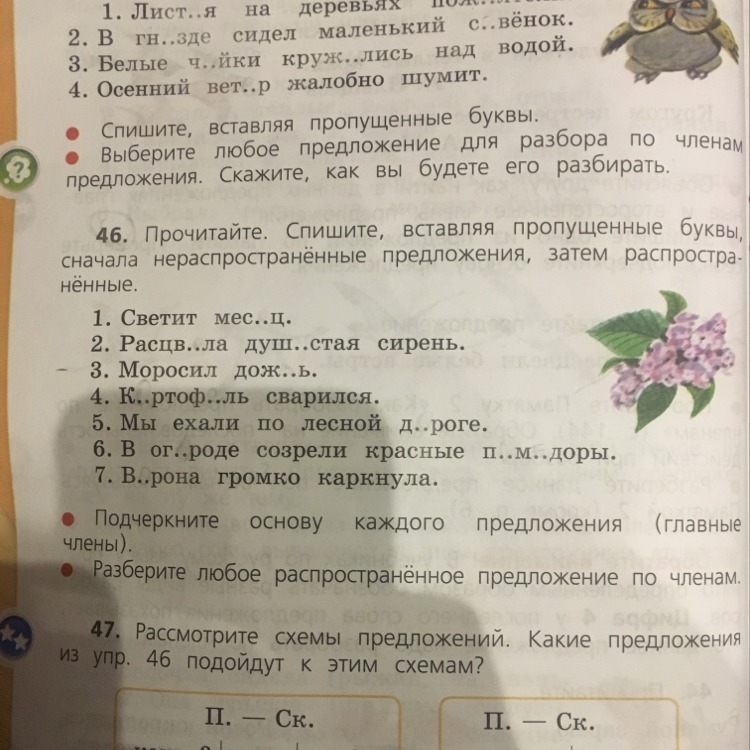 Прочитайте загадку спишите не жужжу когда сижу. Прочитайте подчеркните основу предложения. Спишите любое предложение. Спишите нераспространенные предложения. В распространенных предложениях подчеркните основы.