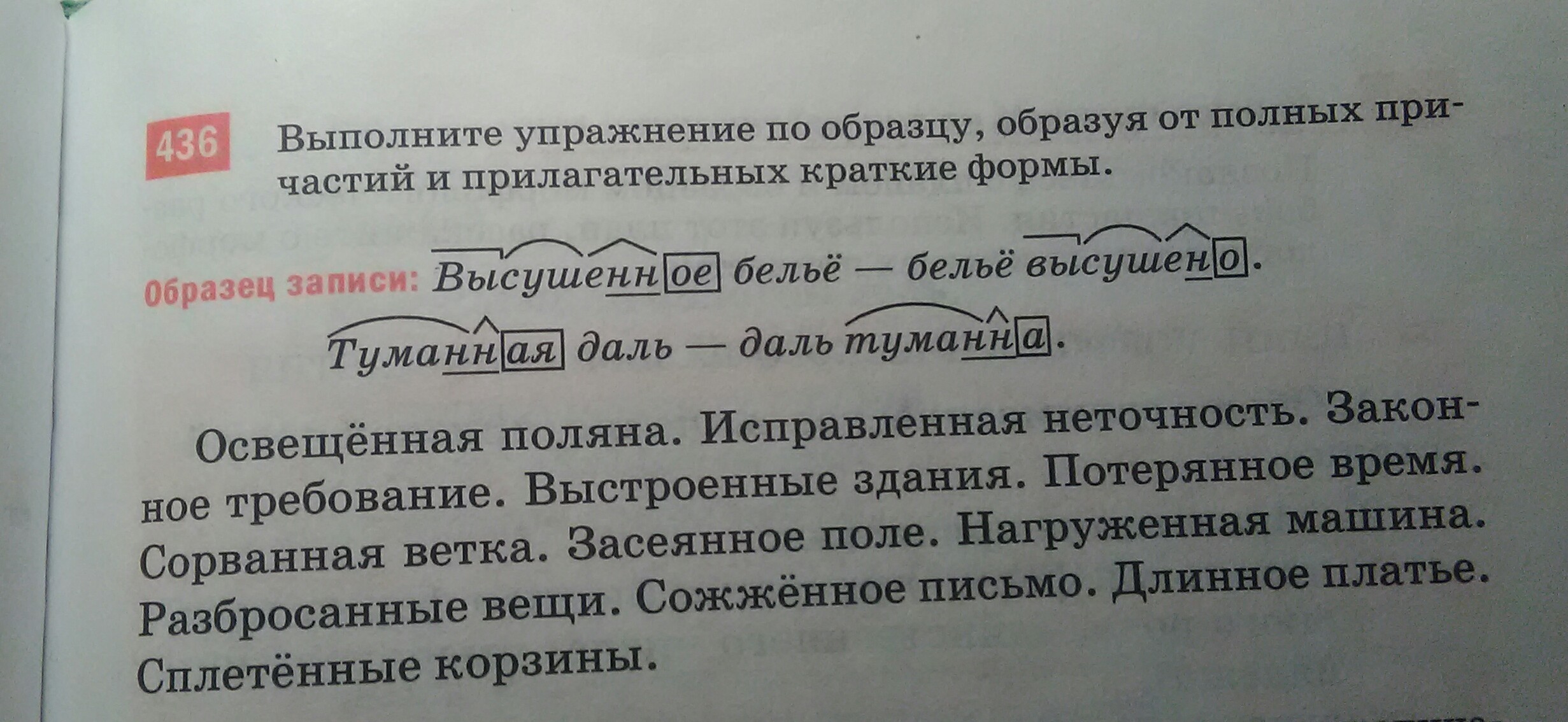 Образуйте от полных форм краткие. Освещённая Поляна исправленная неточность законное требование. Краткая форма освещенная Поляна. Освещенная Поляна исправленная неточность. Поляна освещена как пишется.