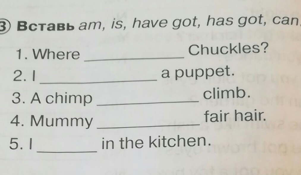 Вставьте can could. To be have got can упражнения. Вставить is,are,have,has,can. Can have to be упражнения. Упражнение am?is? Are can.