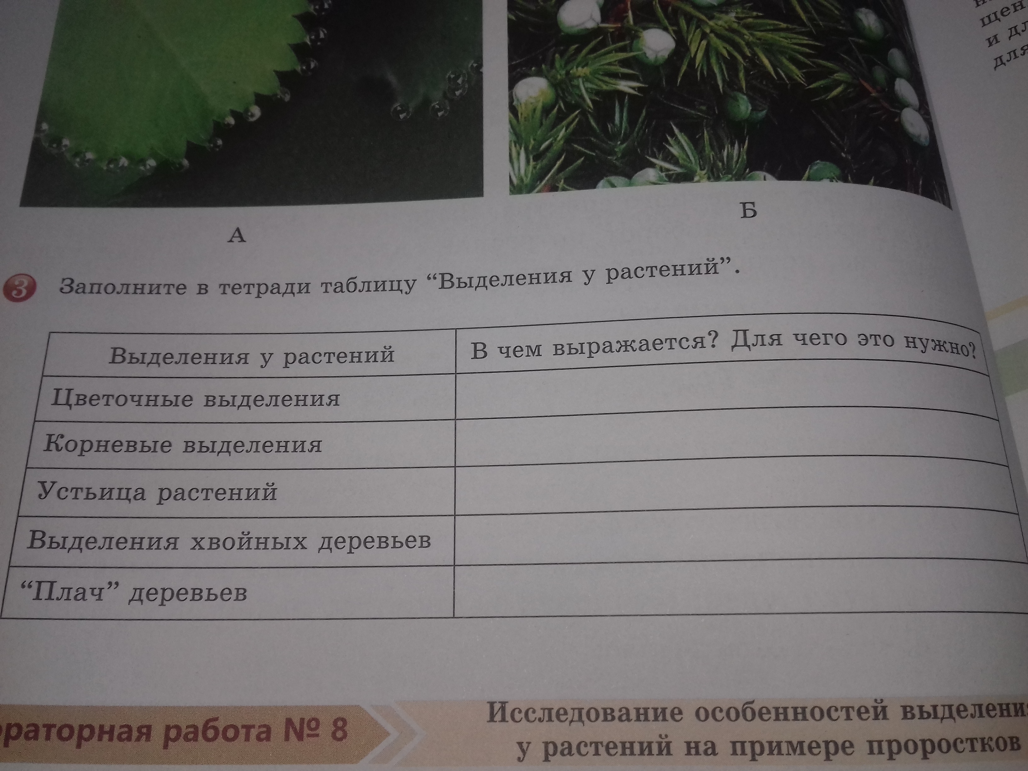 Выделение у растений 6 класс биология тест. Выделение у растений. Выделение у растений и животных. Выделение у растений 6 класс биология.