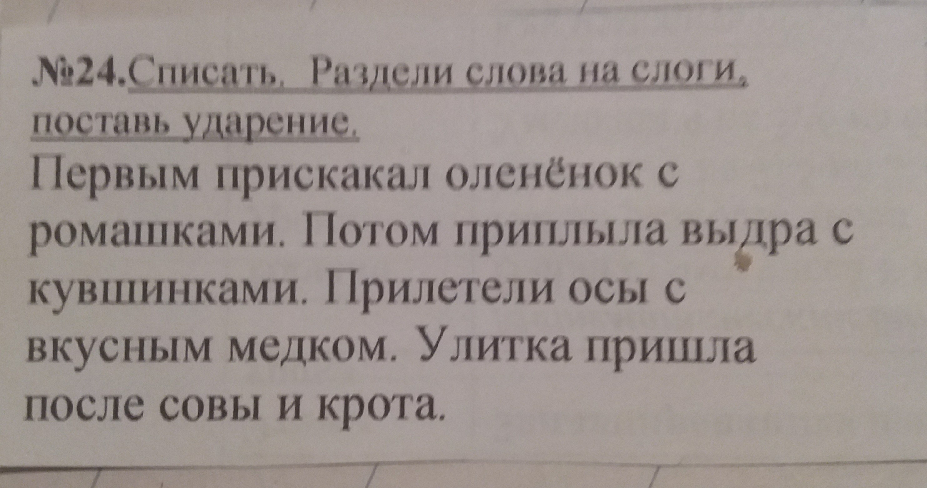 Списать подчеркни мягкие согласные у марины книга раскраска там картинки гномик аист кролик клоун