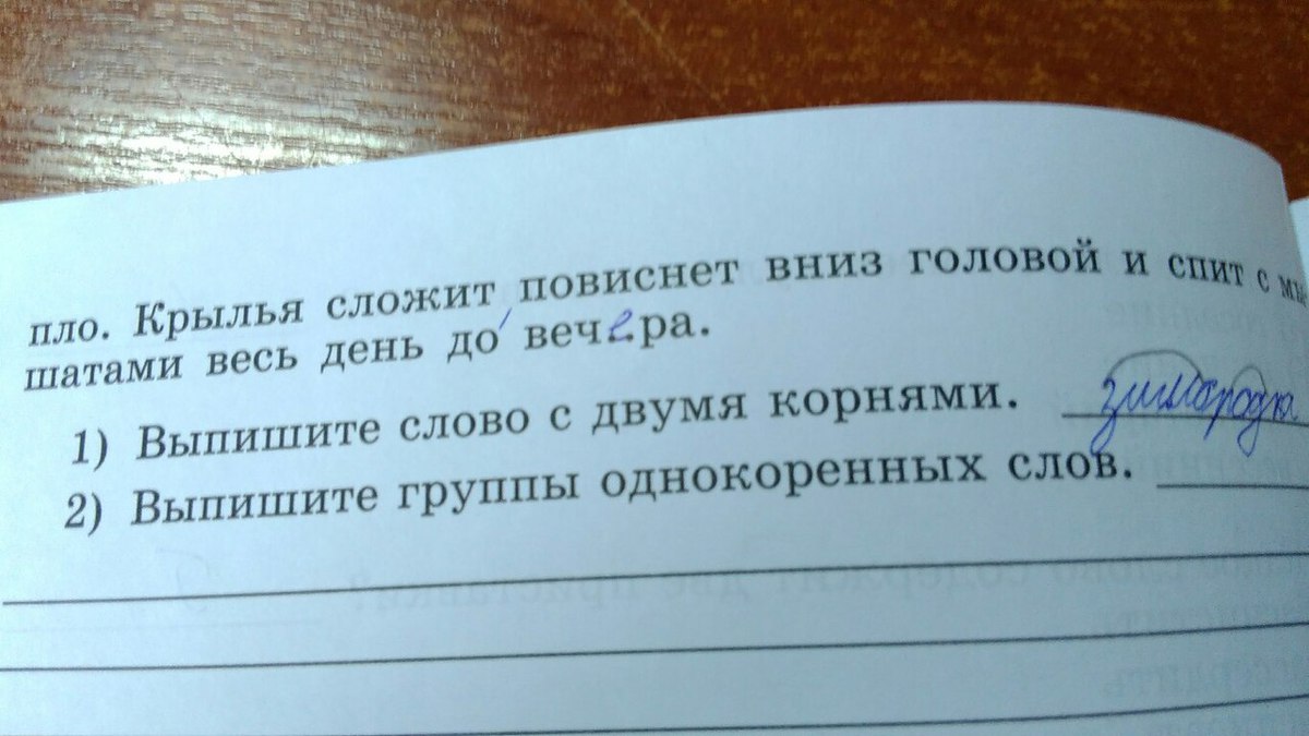 Выпиши из каждой группы слов. Выпиши однокоренные слова. Выпишите. Выпишите группами однокоренные слова выделяя в каждом из них корни. Выпишите группы однокоренных слов лебедь.