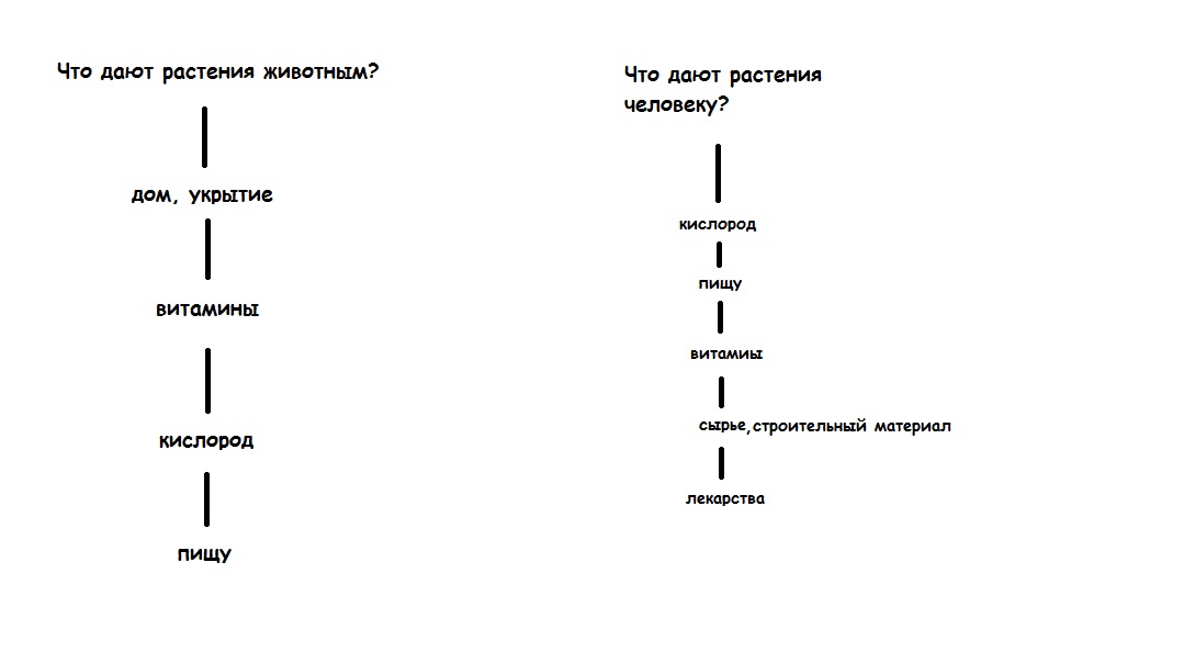 Схема что дают растения животным и человеку окружающий мир 3 класс