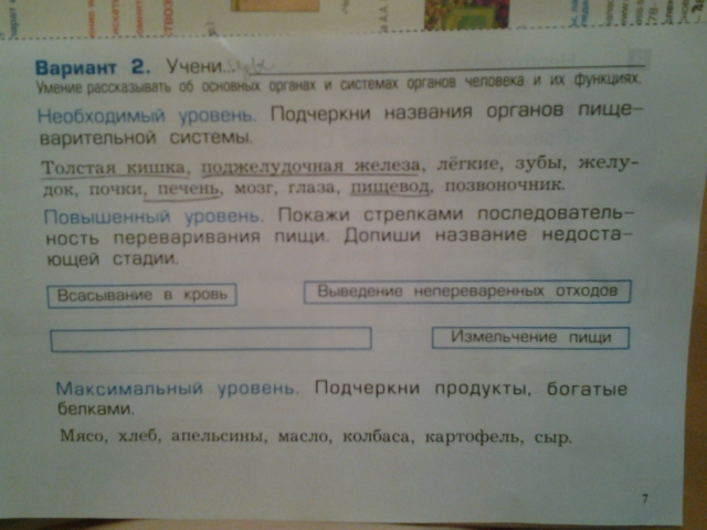 Покажите стрелками. То что создано людьми принято называть допиши предложение. 4.Допиши предложение: то, что создано людьми, принято называть. То что создано людьми принято называть допиши.