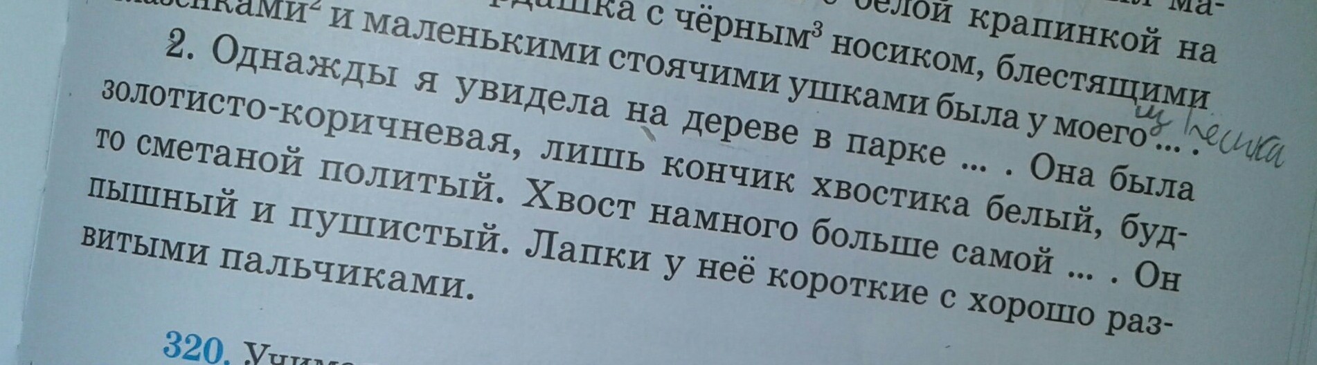 Я не буду джеркать текст. Посадила Катя маленькую веточку озаглавить. Катя посадила маленькую веточку озаглавить текст. Катя посадила маленькую веточку озаглавить текст как правильно.