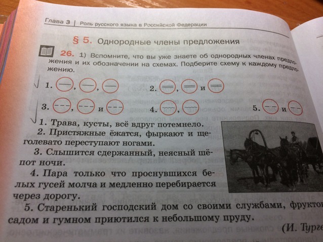 Вспомнить предложения. Трава кусты все вдруг потемнело разбор предложения. Разбор предложения трава кусты все вокруг потемнело.