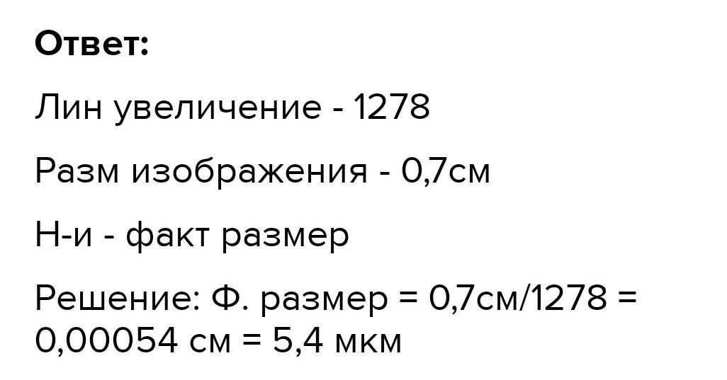 Сплошной или полый. Такси бизнес класс класс машина фото сбоку.