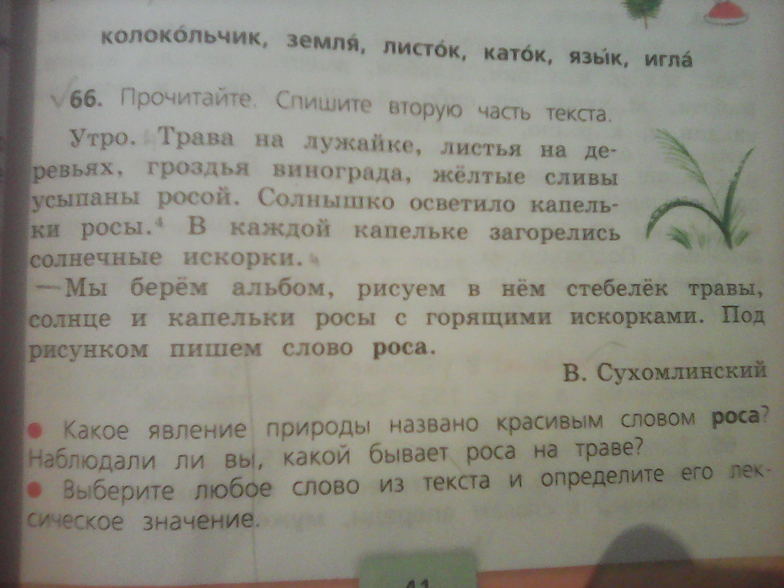 Прочитайте текст напишите номера предложений. Предложение с многозначными словами колокольчик. Прочитайте спишите вторую часть текста. Предложение на слова роса. Спишите вторую часть текста утро.трава.