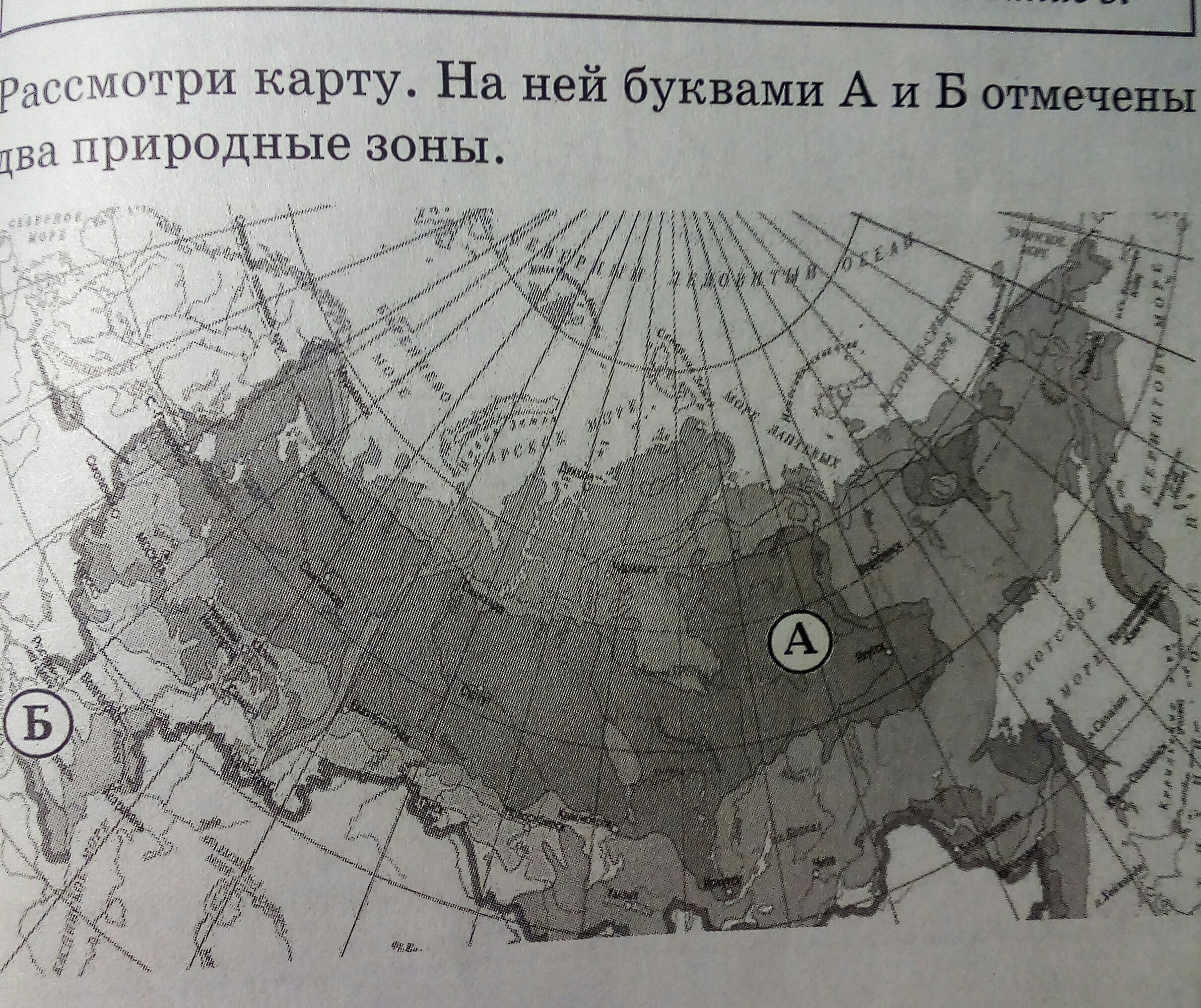 Зона впр. Рассмотри карту на ней буквами а и б отмечены две природные зоны. Название природной зоны а и б. Рассмотри карту природных зон. Рассмотри карту. На ней буквами природные зоны.