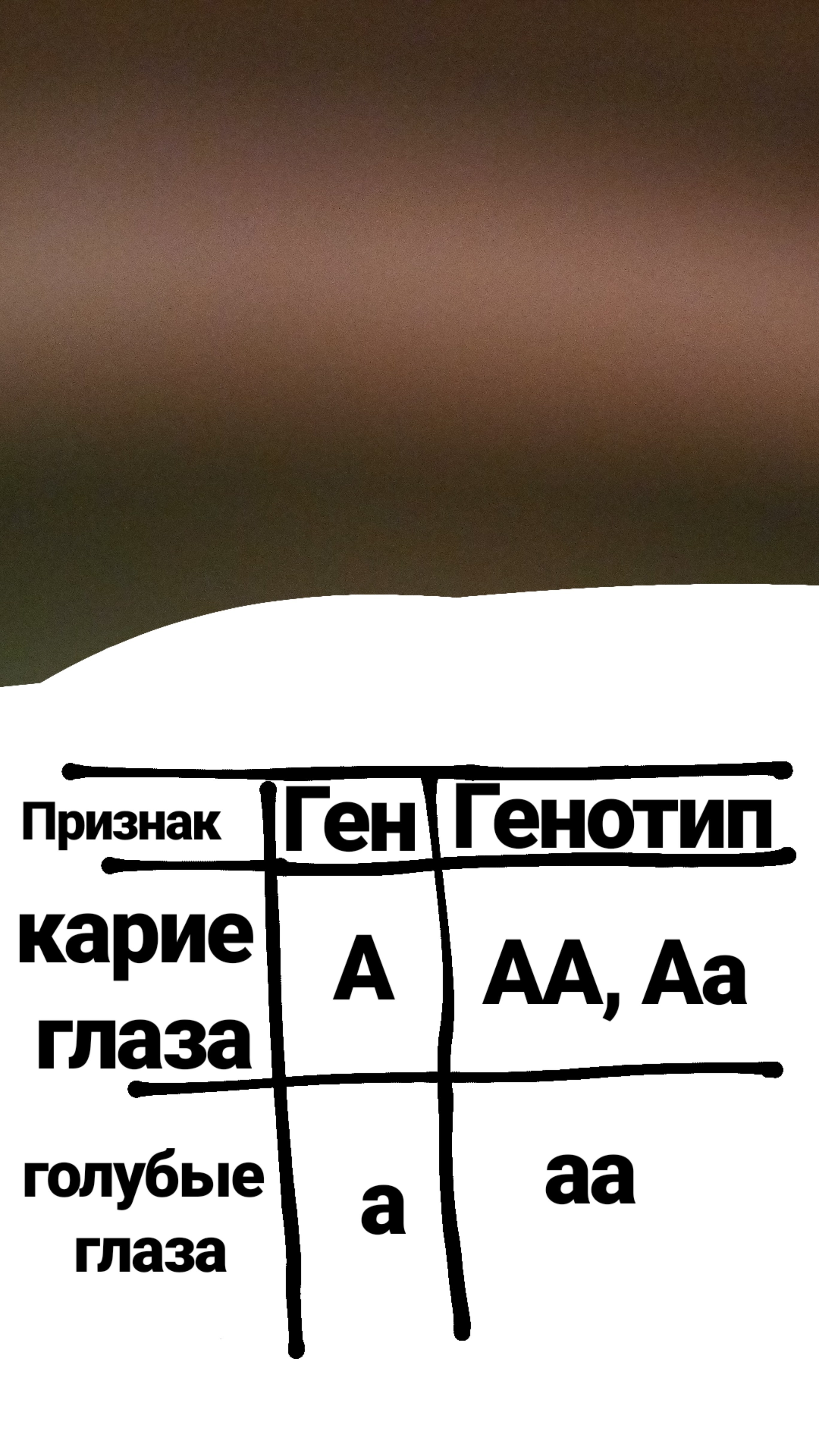 У человека карие глаза доминируют над голубыми. Карие глаза доминируют над голубыми. Карий цвет глаз доминирует над голубым. Карий цвет глаз Доминант над голубым или нет. Карие глаза доминируют над всеми остальными цветами глаз.