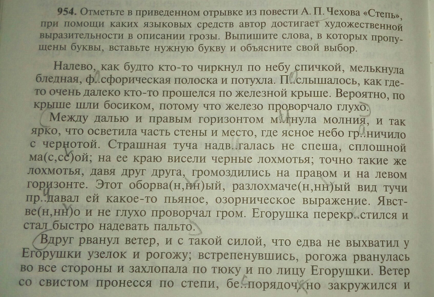 Отрывок потому что. Отрывок из повести. Степь Чехов отрывок. Степь отрывок из повести Чехова. Отрывки повестей.