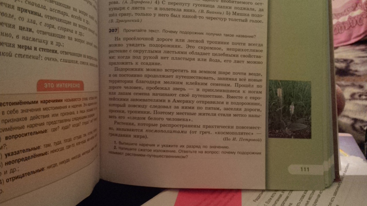 Прочитайте текст книга из интернета расположенный. Книга АСТ подорожник. Почему подорожник так называется текст рассуждение 2 класс. Путника друг - подорожник -. Сжатое сочинение по русскому языку 7 почему подорожник так назвали.