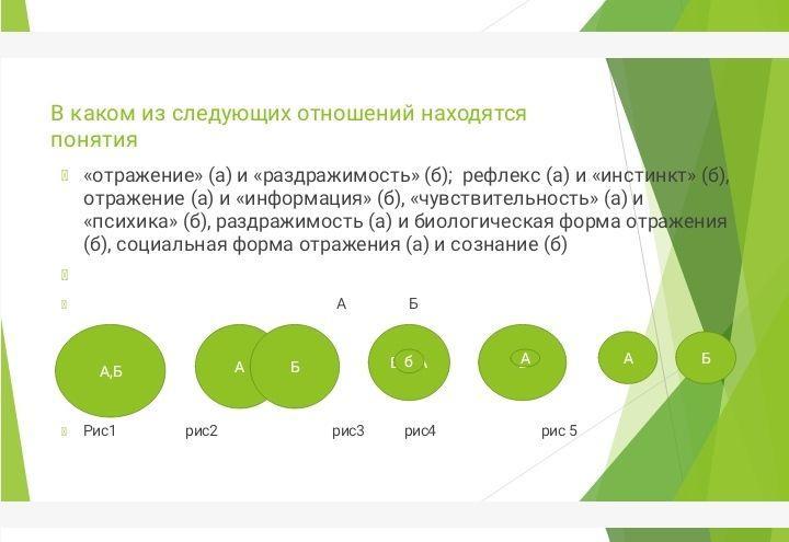 Расположите понятия