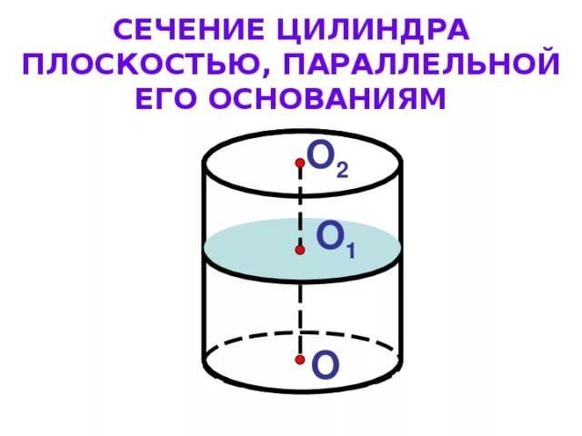 Сечение основания цилиндра. Сечение цилиндра плоскостью параллельной основанию. Сечение параллельное основанию цилиндра. Сечение цилиндра перпендикулярное основанию. Сечение параллельно основанию цилиндра.