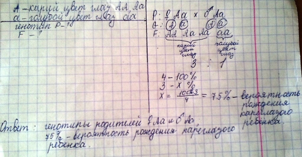 У человека ген карих глаз доминирует