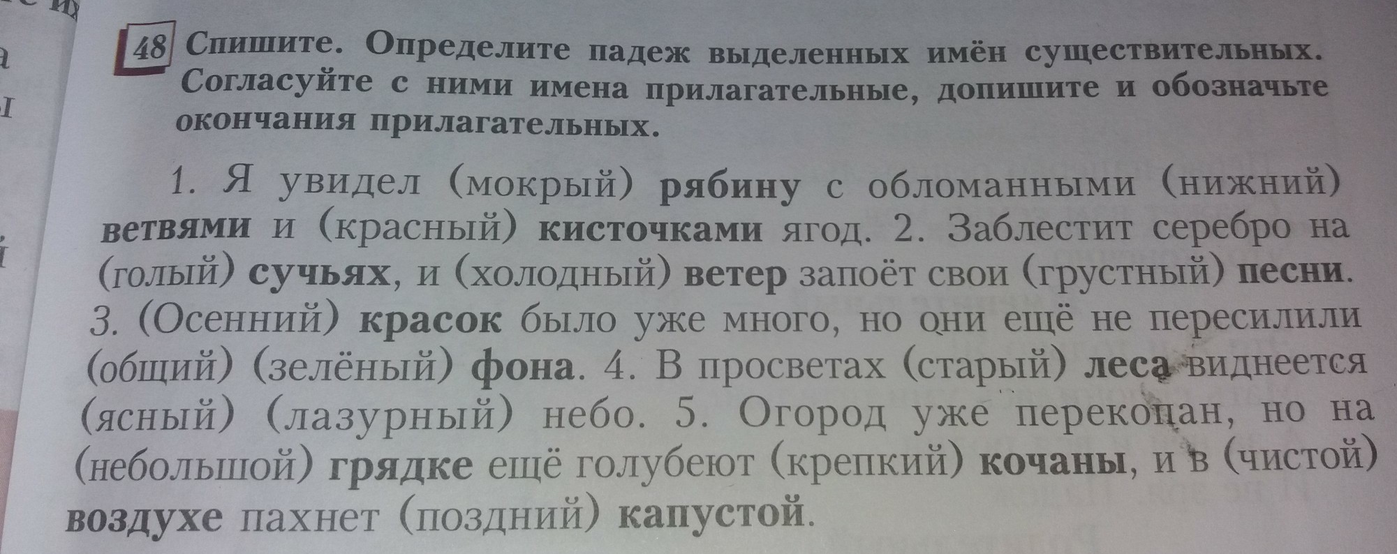 Спишите определите число имен существительных. Как определить падеж имени прилагательного