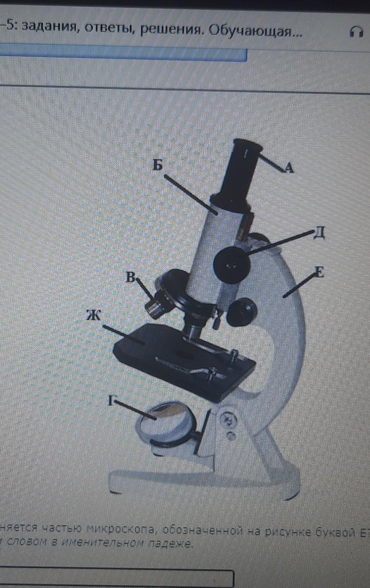 Какая функция выполняется частью микроскопа обозначенной на рисунке буквой е