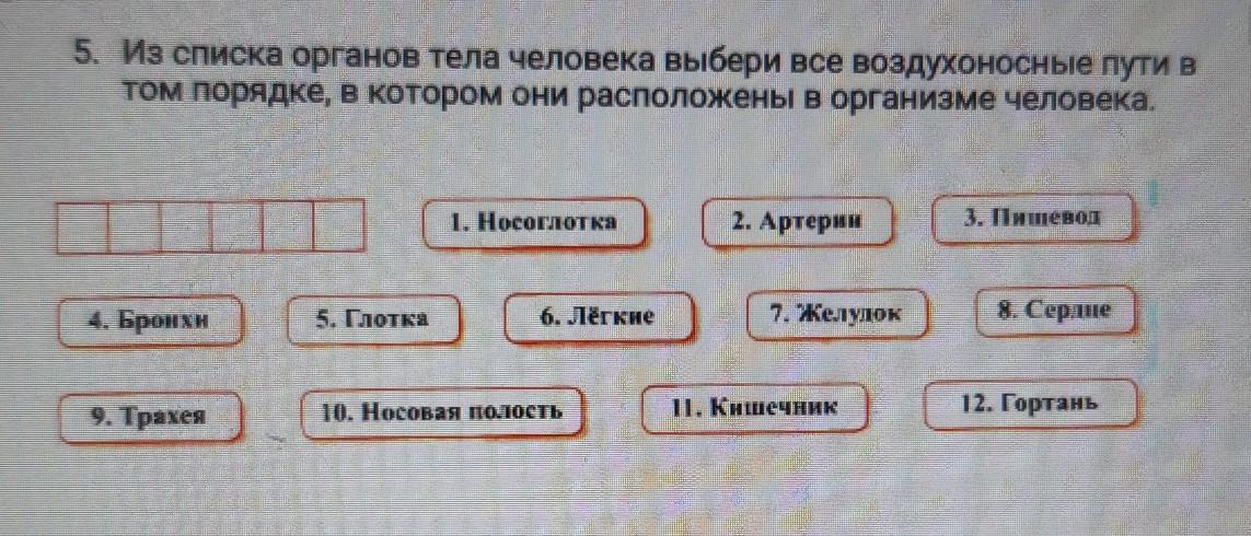 Перечень органов человека. Выберите в списке органов.