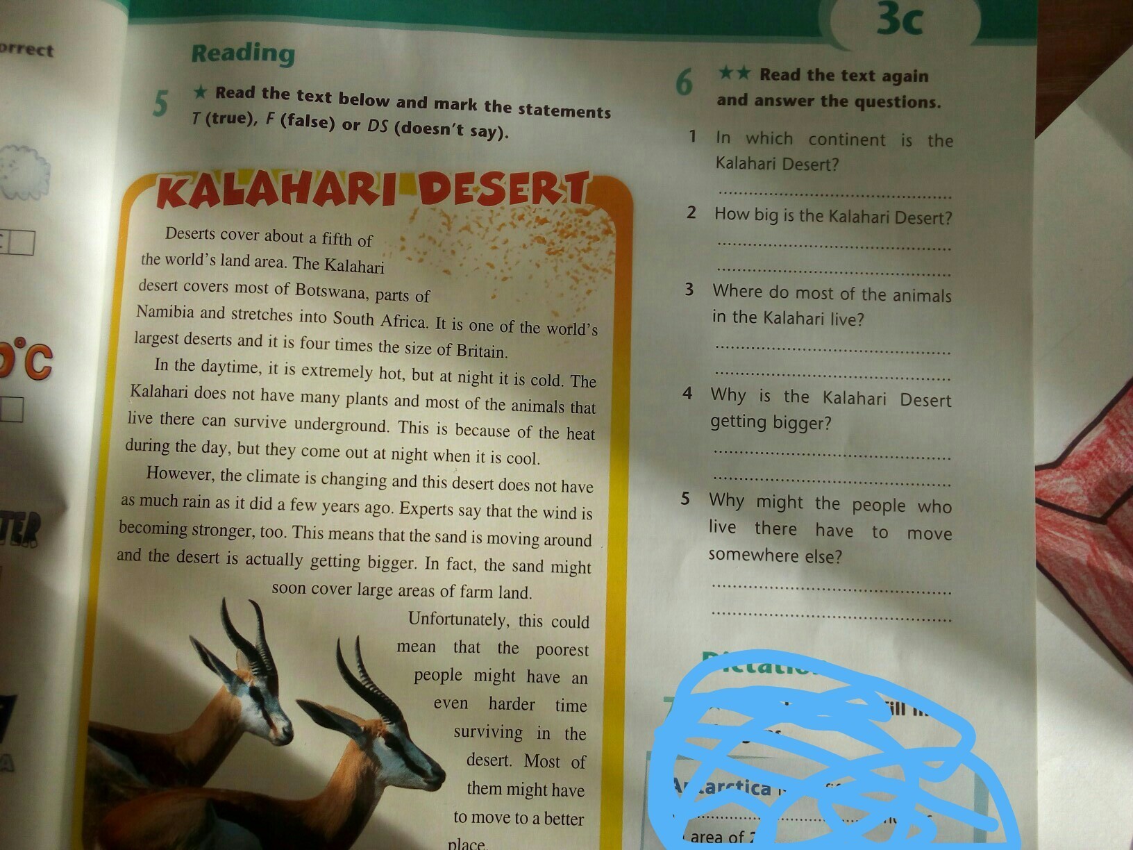 Read the text again and find. Read and answer the questions. Read again and answer the questions. Read the text again and answer the questions. Read the text and answer the questions 4 класс.