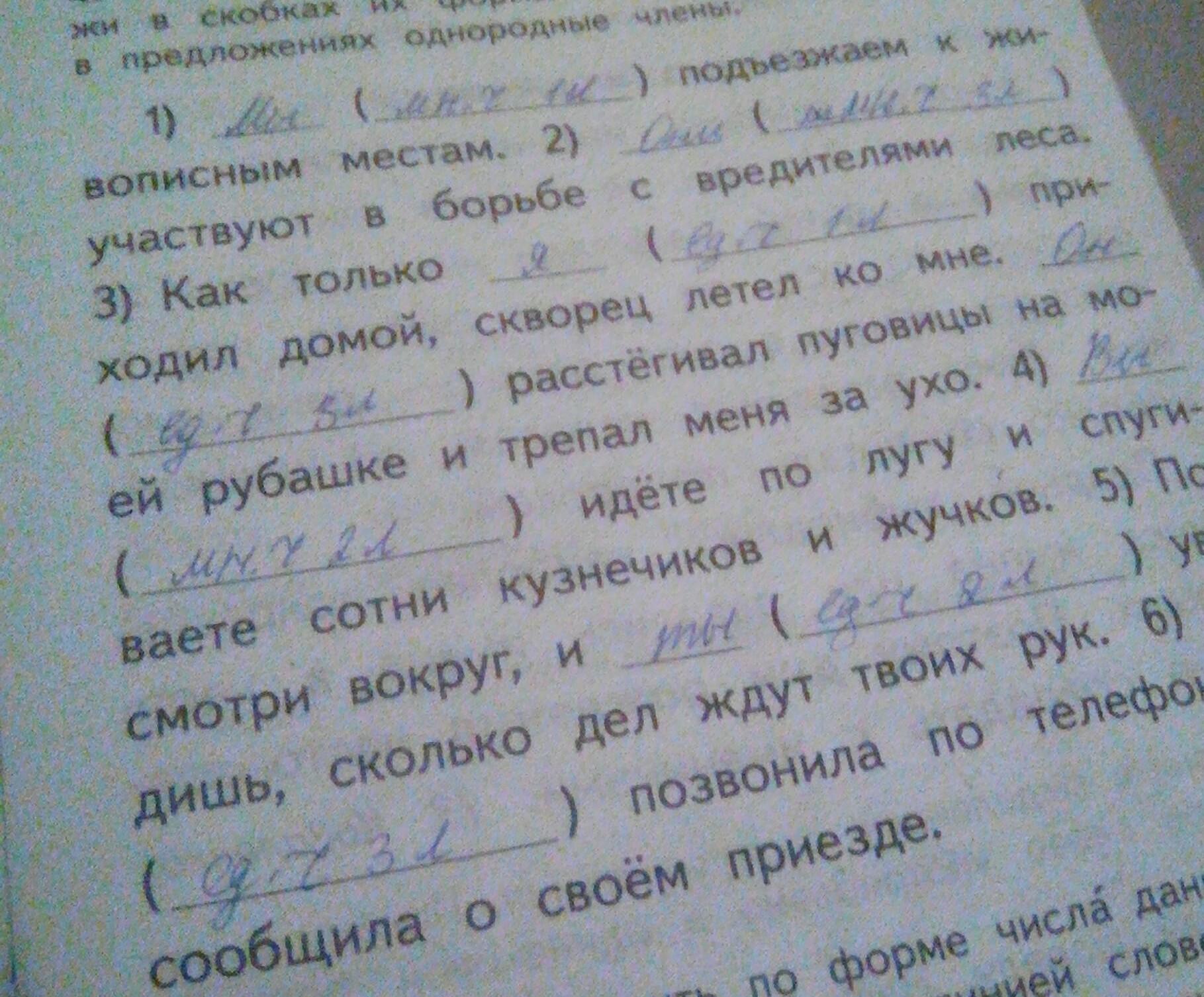 однородные члены предложения любил купец детей своих больше своего богатства фото 60